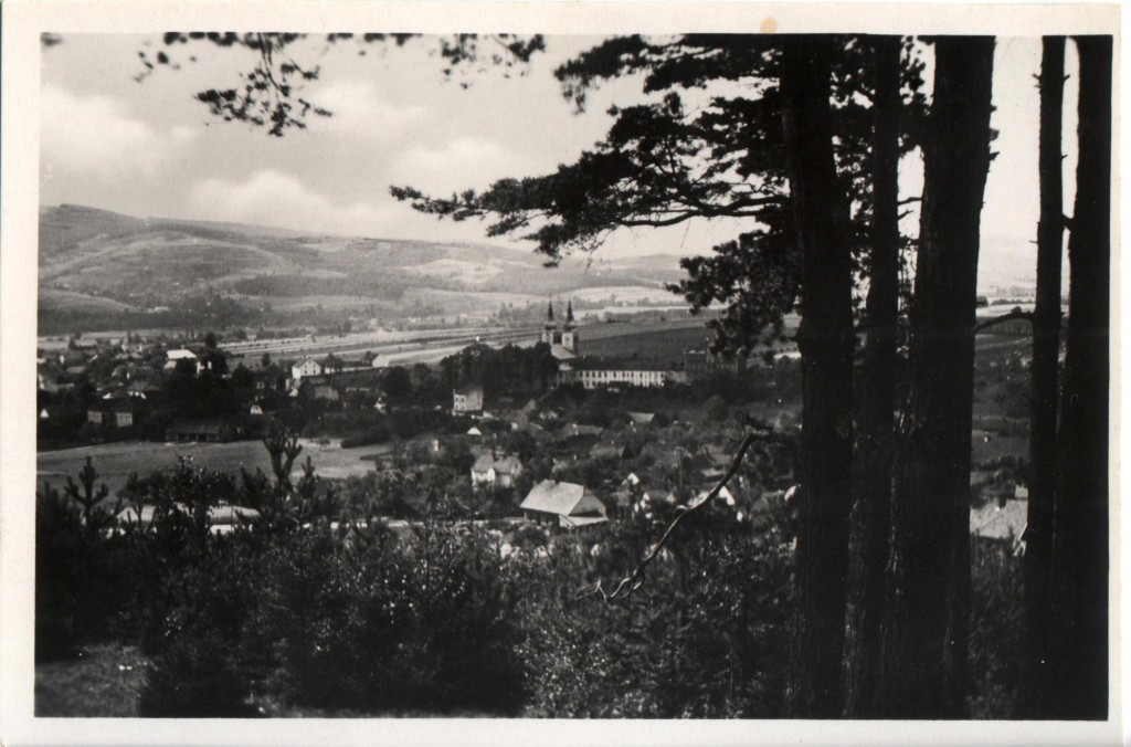 19__ POHLEDNICE ZAŠOVÁ (nákladem A.Borovičky), pohled z Pohoře